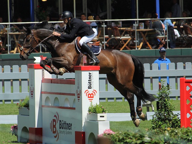 韩足晚报（2025.11.12~13）韩期待击败玻利维亚