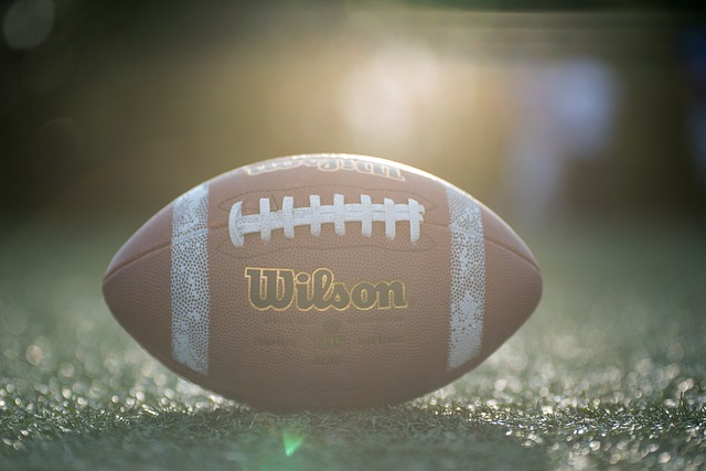 不可忽视的 不可忽视的